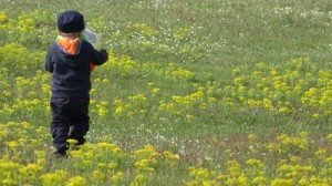 Nama Bayi Laki Laki Yang Artinya Bunga