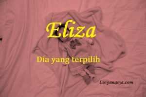 arti nama eliza