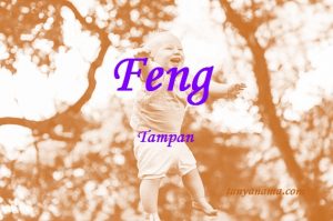 arti nama feng
