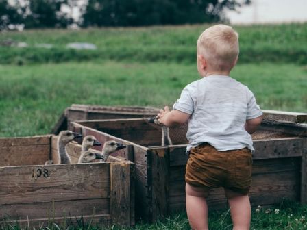 Nama bayi laki-laki terinspirasi burung